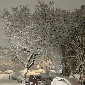 Meet your Posher, Avery